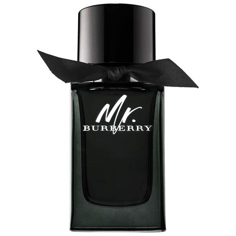 mister burberry eau de parfum|mr burberry perfume price.